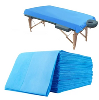Mattress protective cover / mattress saver - blue 200 x 100cm